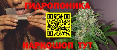 гидра Свободный