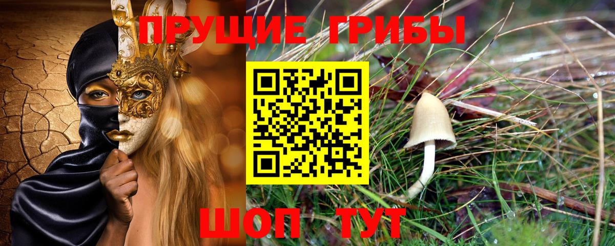 Псилоцибиновые грибы прущие грибы Биробиджан