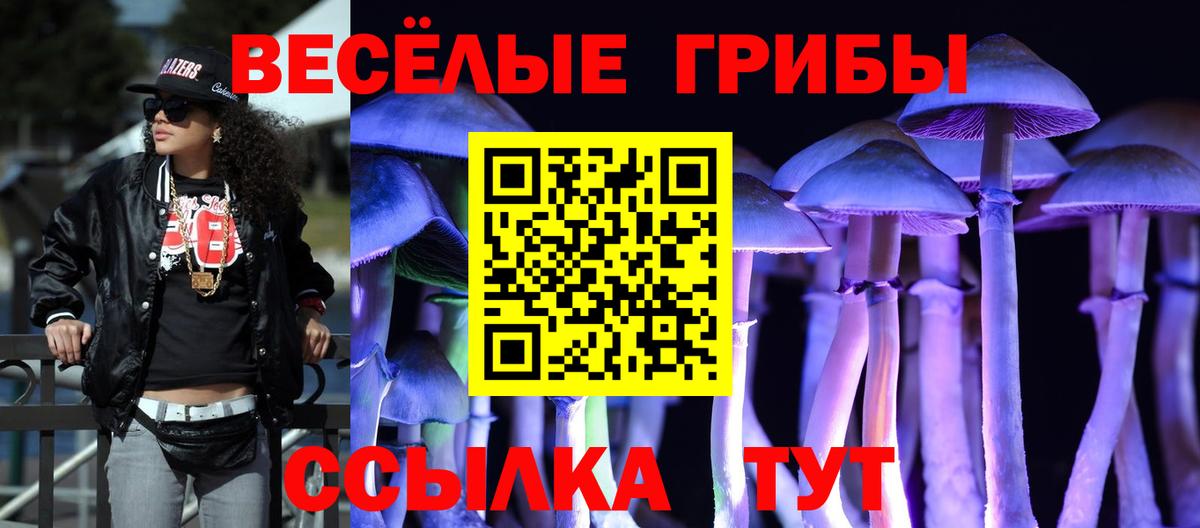 купить наркоту  Псилоцибиновые грибы Psilocybe  Вход с VPN  Биробиджан 